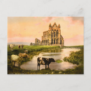 Vintage Whitby Abbey Yorkshire England Postkarte