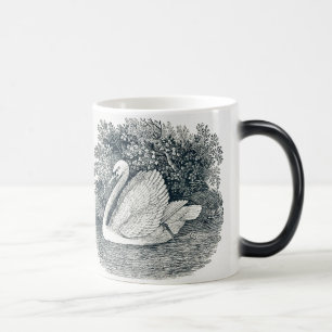 Vintage White Swan von Thomas Bewick Verwandlungstasse