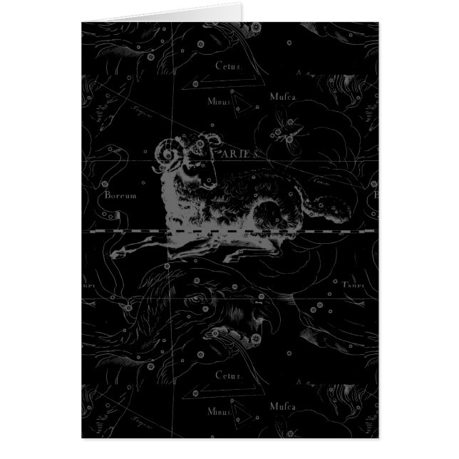 Vintage Widder-Zeichen-Konstellation Hevelius 1690 (Vorne)