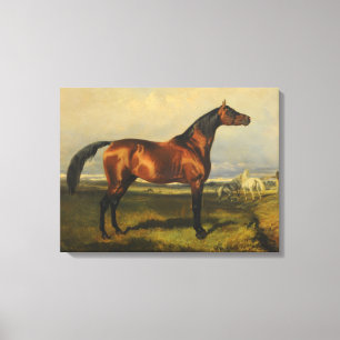 Vintage Wild Horses von Alfred de Dreux Leinwanddruck