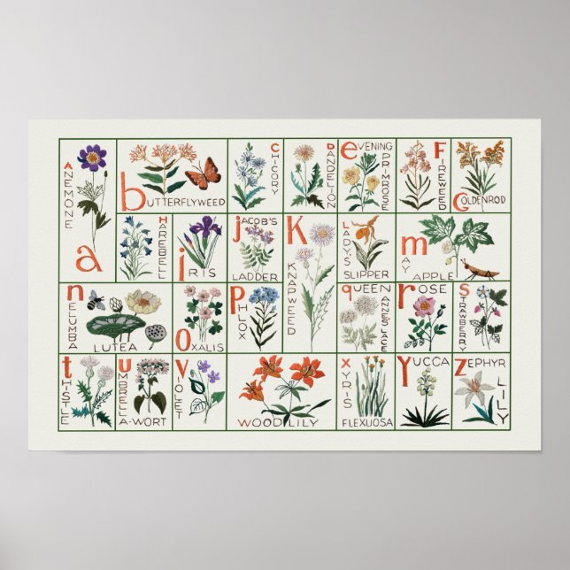Vintage Wildblume Alphabet Floral Nursey Poster (Vorne)