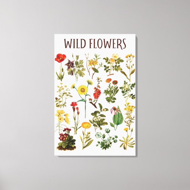 Vintage Wildblume Leinwanddruck (Vorderseite)
