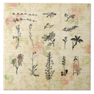 Vintage Wildblumen Blumenschrift Art Fliese