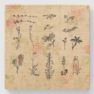 Vintage Wildblumen Blumenschrift Art Steinuntersetzer