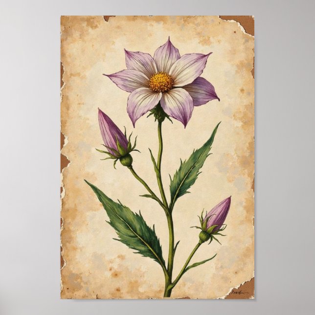 Vintage-Wildblumen-Botanikplatten-Kunst Poster (Vorne)