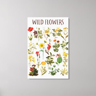 Vintage-Wildblumen-Diagramm Leinwanddruck