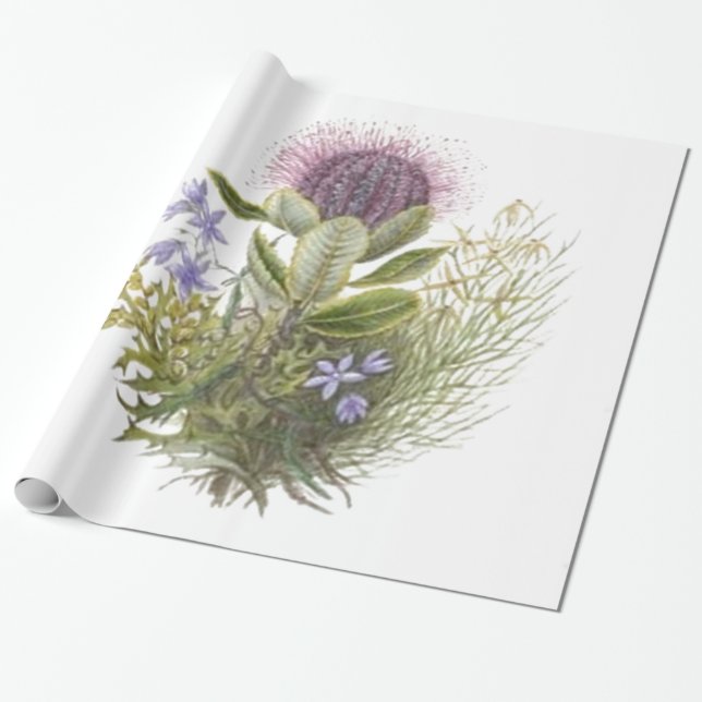 Vintage Wildblumen-Distel Geschenkpapier (Ungerollt)