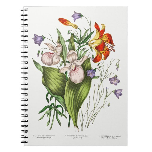 Vintage Wildblumen Notizblock (Vorderseite)