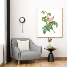 Vintage Wilde Rose Botanische Kunstdruckplakate