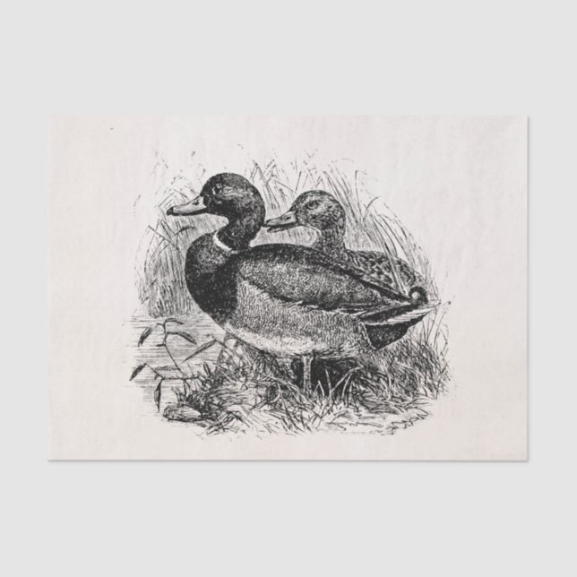 Vintage wilde Stockente duckt personalisierte Seidenpapier (Vorderseite)