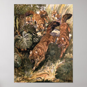 Vintage Wildhunde, Löcher von Winifred Austen Poster