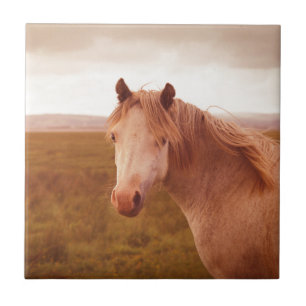 Vintage-Wildpferd Fliese