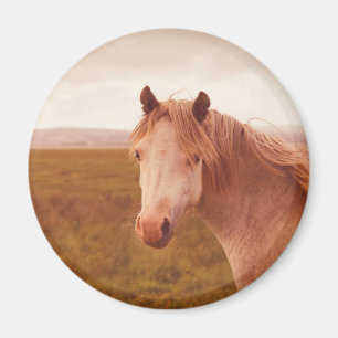 Vintage-Wildpferd Magnet