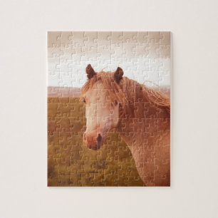 Vintage-Wildpferd Puzzle
