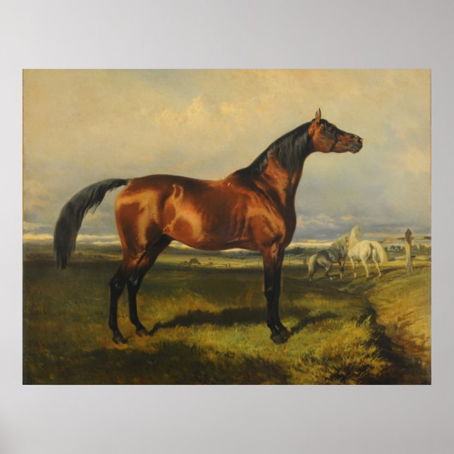 Vintage Wildpferde von Alfred de Dreux Poster (Vorne)