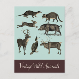 Vintage-Wildtier-Postkarte Postkarte