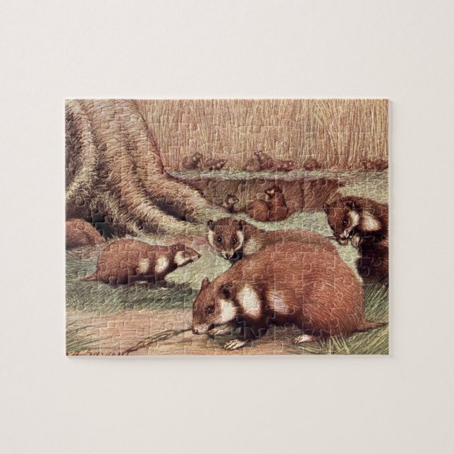 Vintage Wildtiere, Hamster von Louis Sargent Puzzle (Horizontal)
