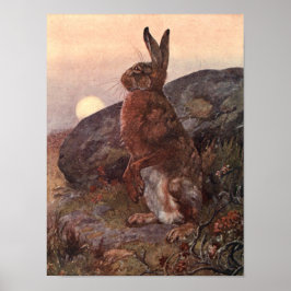 Vintage Wildtiere, Hare von Winifred Austen Poster
