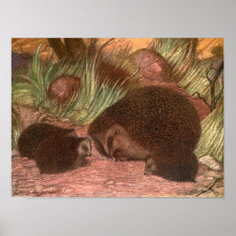 Vintage Wildtiere, Igel von Louis Sargent Poster