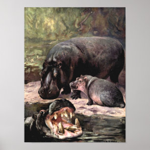 Vintage-Wildtiere, Nilpferd von CE Swan Poster