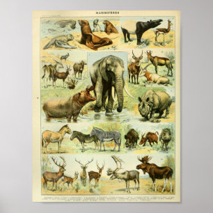 Vintage Wildtiere Print Poster