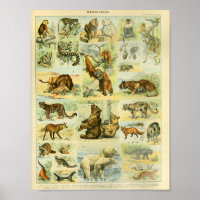 Vintage Wildtiere Print
