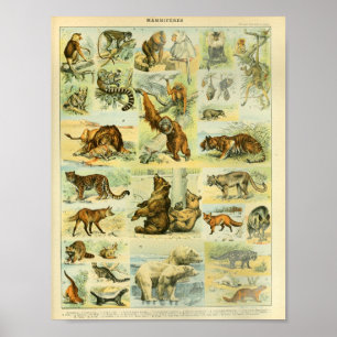 Vintage Wildtiere Print Poster