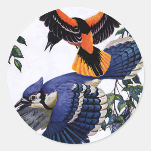 Vintage-Wildtiere-Vögel, Blaue Häher im Flug Runder Aufkleber