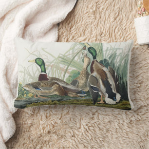 Vintage-Wildtierkunst von Audubon: Stockente Lendenkissen