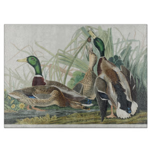 Vintage-Wildtierkunst von Audubon: Stockente Schneidebrett