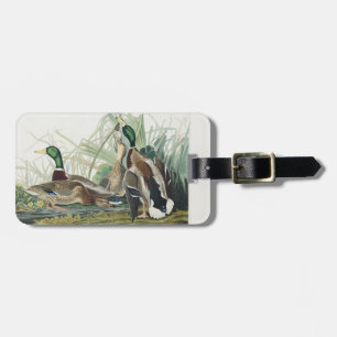 Vintage-Wildtierkunst von Audubon: Stockenten-Ente Gepäckanhänger