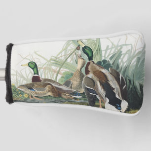 Vintage-Wildtierkunst von Audubon: Stockenten-Ente Golf Headcover