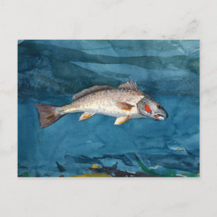 Vintage Winslow Homer Channel Bass Postkarte