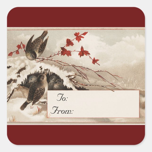 Vintage Winter Birds Square Sticker (Vorderseite)