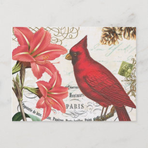 vintage Winter-Kardinal Postkarte