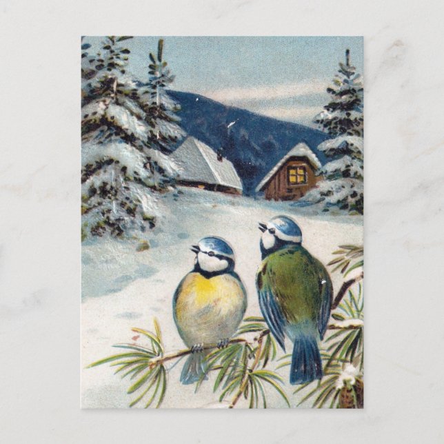Vintage Winter-Postkarte mit Vögeln Postkarte (Vorderseite)