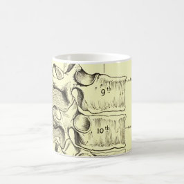 Vintage Wirbel der Anatomie-| Tasse