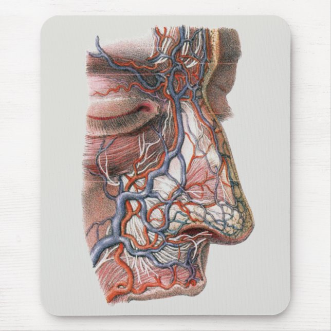 Vintage Wissenschaft menschliche Anatomie, Angesic Mousepad (Vorne)