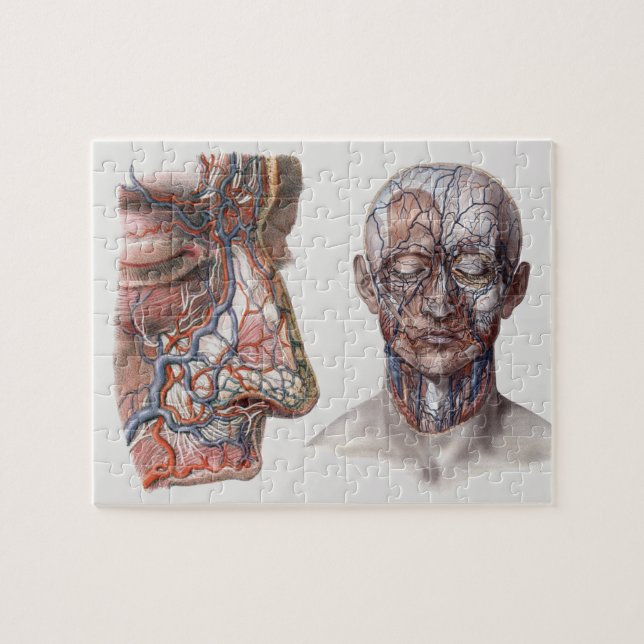Vintage Wissenschaft menschliche Anatomie Kopf und Puzzle (Horizontal)