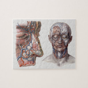 Vintage Wissenschaft Menschliche Anatomie Köpfe un Puzzle