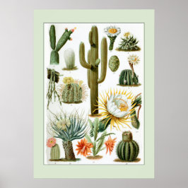 Vintage wissenschaftliche Illustration Poster