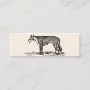 Vintage Wolf-Illustration - Wölfe Vorlage 1800er J Mini Visitenkarte