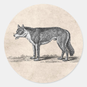 Vintage Wolf-Illustration - Wolfenvorlage aus dem  Runder Aufkleber