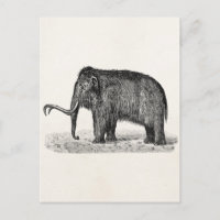 Vintage Wolle Mammoth Illustration Wollmammut
