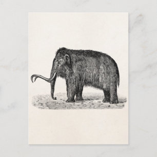 Vintage-Wollhautmammut-Illustration Wollige Mammut Postkarte