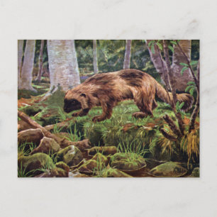 Vintage Wolverine-Illustration Postkarte