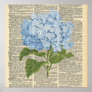 Vintage-Wörterbuch Blaue Hortensien-Blumen Poster
