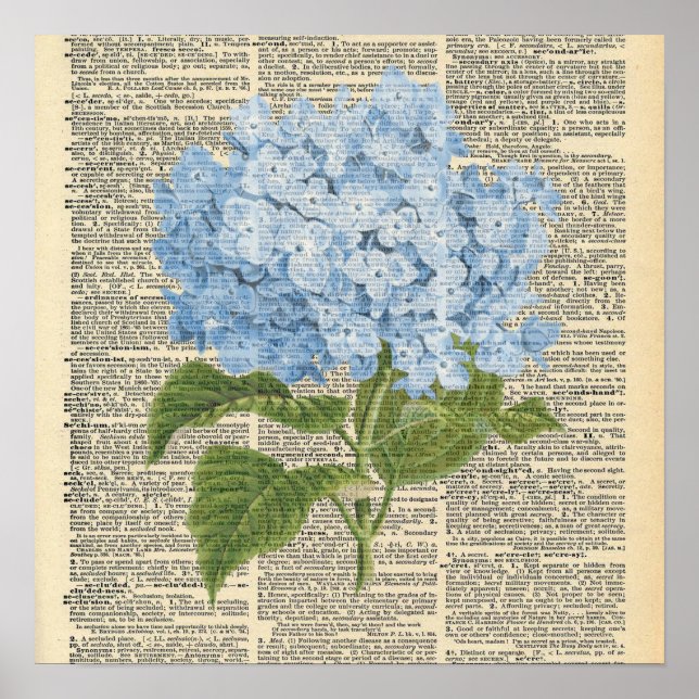 Vintage-Wörterbuch Blaue Hortensien-Blumen Poster (Vorne)