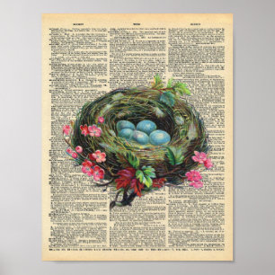 Vintage-Wörterbuch-Kunst Blaue Rotkehlcheneier im Poster