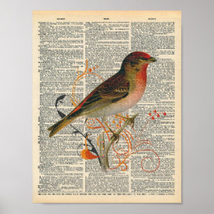 Vintage-Wörterbuch-Kunst Hübsche rote orangefarben Poster